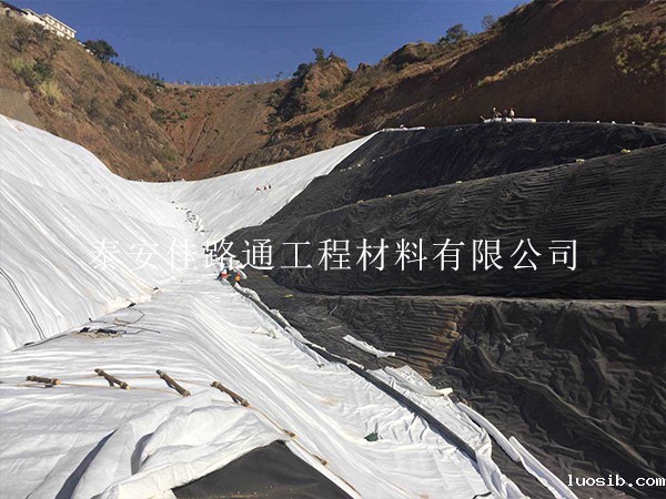 为何垃圾填埋场选择防渗土工膜:创新视角下的环保考量 为何垃圾填埋场选择防渗土工膜:创新视角下的环保考量