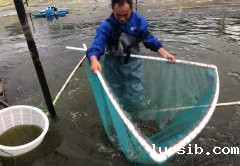 水产养殖光面土工膜