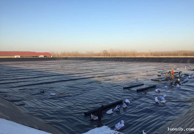 土工膜施工图片