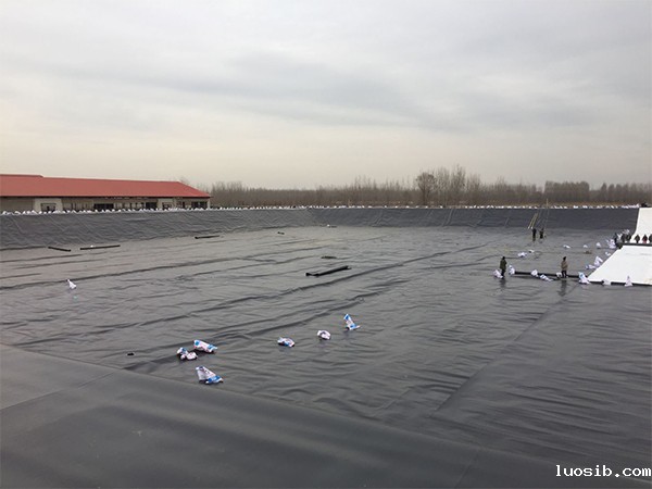 养殖业朋友注意了：如何延长防渗土工膜使用寿命？