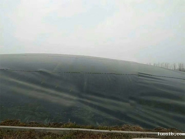 运营黑膜沼气池是一门“必修课”