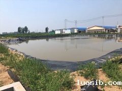 鱼虾养殖土工膜
