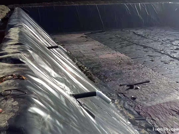 建设黑膜沼气池日常安全事项须注意