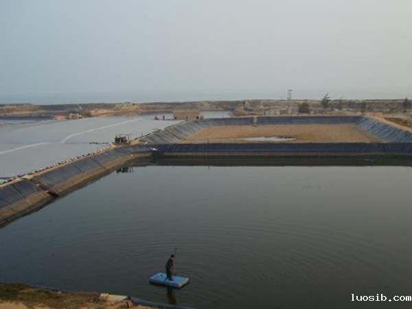 电火花法检测水产土工膜的渗漏性能