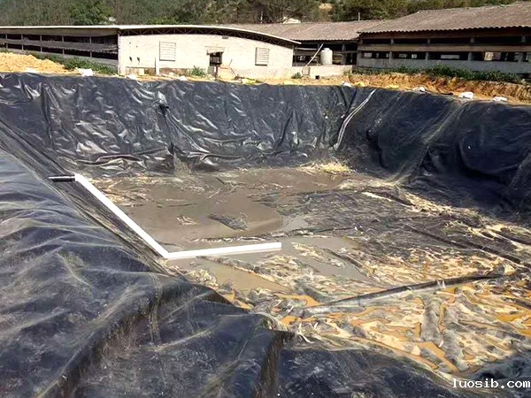 选择鱼塘防渗膜可参考哪几点因素？