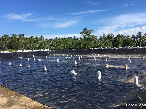 确保防渗膜的化学性质稳定性至关重要。