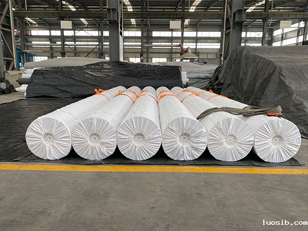 追究防渗土工膜铺设出现皱褶的小问题。