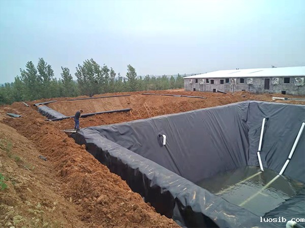 污水处理池的建设为何可选择防渗膜？