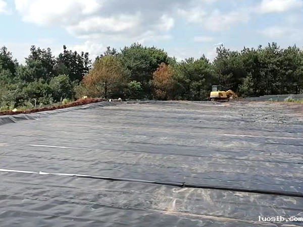 及时修复防渗土工膜，保障工程质量