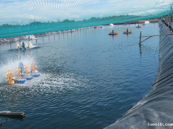 水产土工膜施工过程中该如何进行基面清洁？