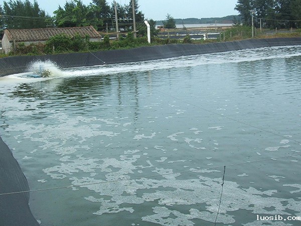 如何将垃圾填埋场土工膜销量提升？