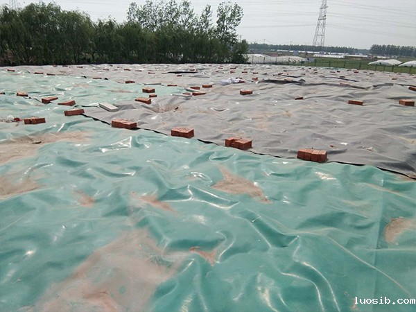 防渗膜用于垃圾填埋场工程明显的优势概述