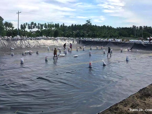 冬季该如何进行养殖防渗膜的铺设？