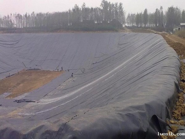 防渗星空游戏登录平台官网有比较高的抗穿刺强度