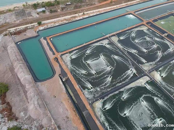 养殖防渗膜为何被广泛应用于养殖业？