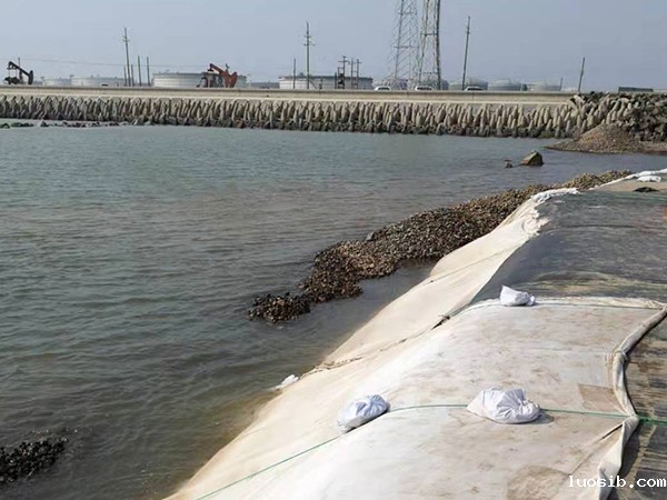 挖好池子为水产养殖防渗膜铺设做准备