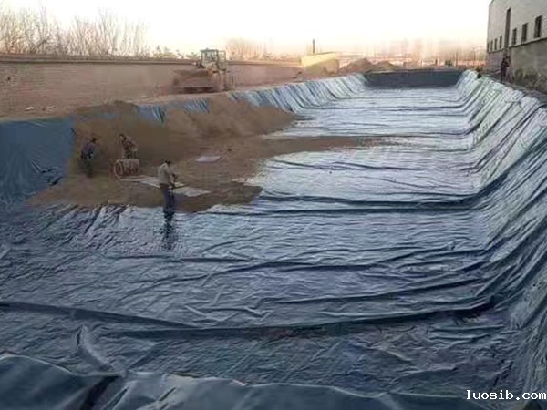 养殖防渗膜为何被广泛应用于鱼塘建设？