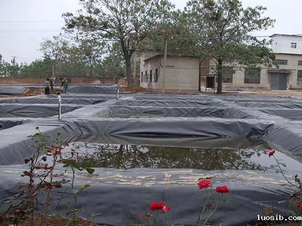 防渗膜厂家会积极处理土工膜破损现象