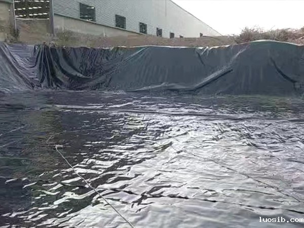 防渗膜的铺设可有效防止池塘漏水