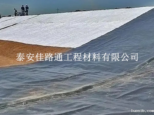 养殖防渗膜在鱼塘建设中发挥重要作用