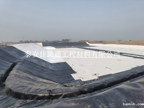 虾池利用防渗膜进行建设有哪些养殖经验？