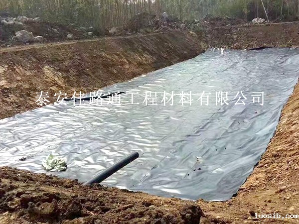 通过有效施工技巧提升鱼塘防渗膜功效