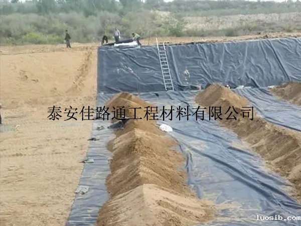 哪些注意事项可有效提升鱼塘防渗膜的施工效率？