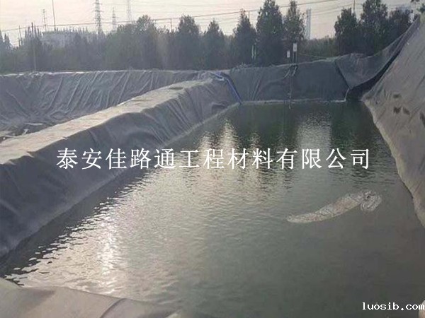 鱼塘防渗膜的特征注定其市场地位