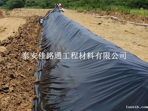 防渗土工膜厂家立足市场的创新策略与未来展望