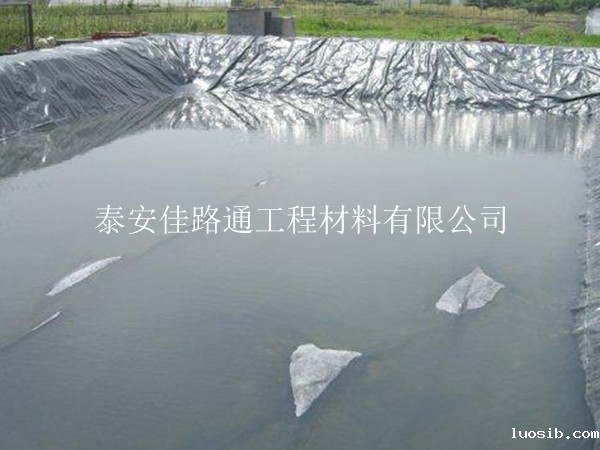 采用鱼虾养殖防渗膜进行水产养殖优势多多