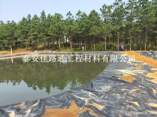 确保鱼塘防渗膜长期稳定使用的创新措施