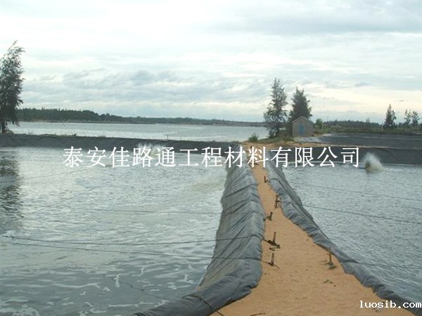 及时应对鱼塘防渗膜铺设过程中遇到的损坏现象