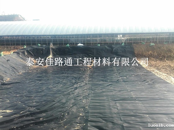 水产养殖防渗膜的特殊施工处理：创新与实践