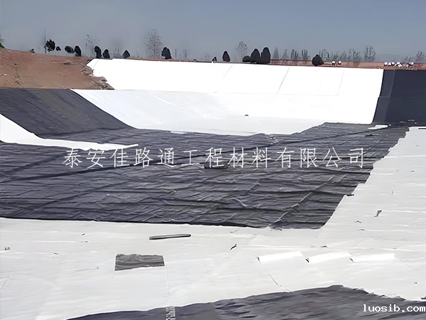 星空游戏登录平台官网施工要点：创新视角下的实践指南