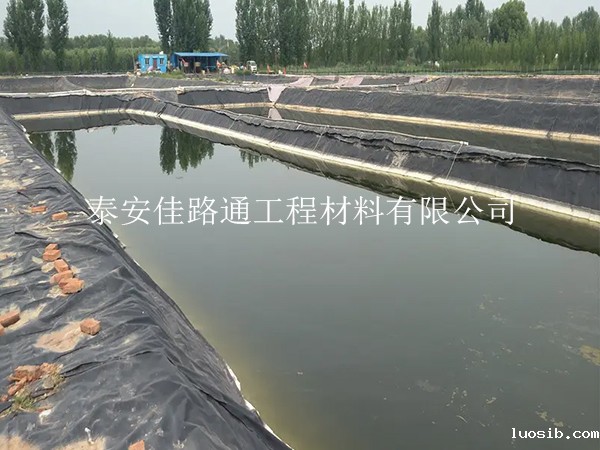 养殖防渗膜：鱼虾养殖的绿色守护者，创新助力水产繁荣