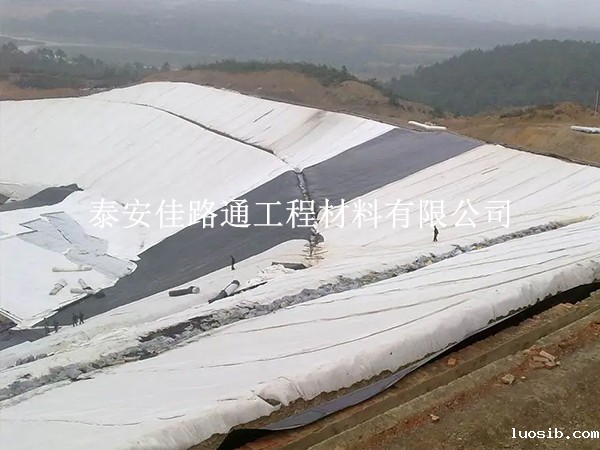 垃圾填埋场防渗膜选择技巧：绿色守护，从“膜”力开始