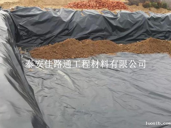 温度调控的艺术：铺设鱼虾养殖防渗膜中的温度管理新视角