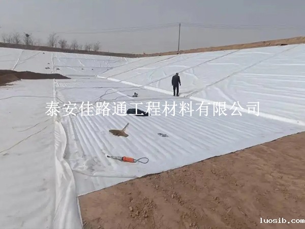 防渗星空游戏登录平台官网的质量辨别技巧：简单新颖指南