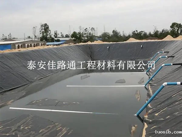 养殖防渗膜：守护水环境，促进绿色养殖的新力量