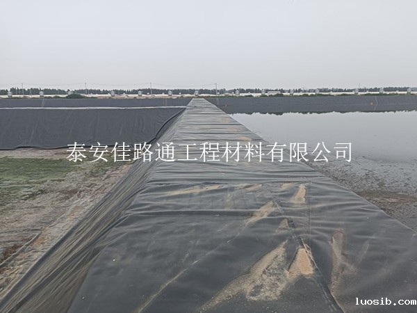 水产养殖防渗膜：守护水质的“隐形盔甲”与防刺破秘籍
