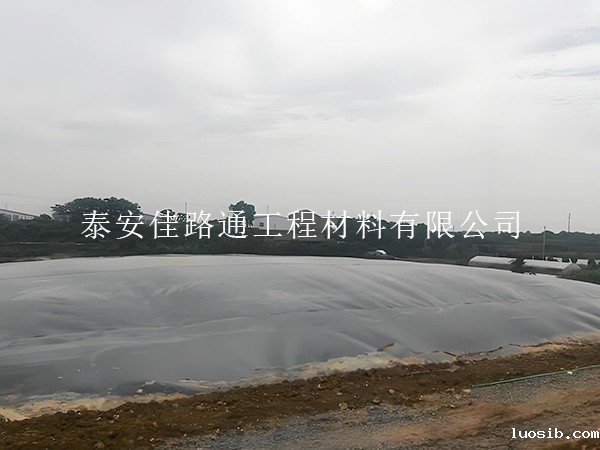 防渗土工膜：沼气池建设的绿色守护者
