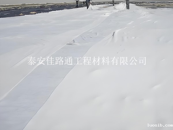 长丝土工布：打造优质防护材料的首选