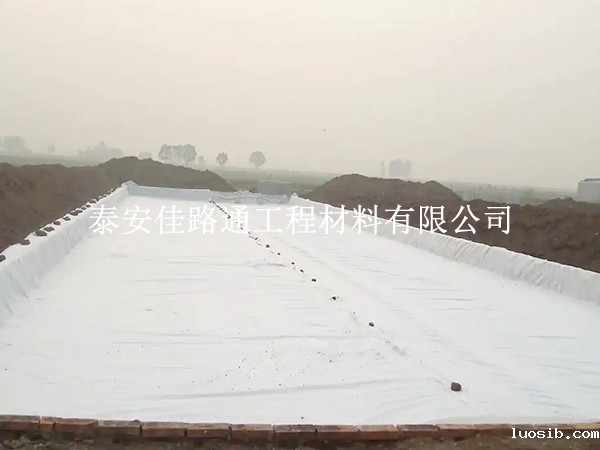 星空游戏登录平台官网：水产养殖的新守护者