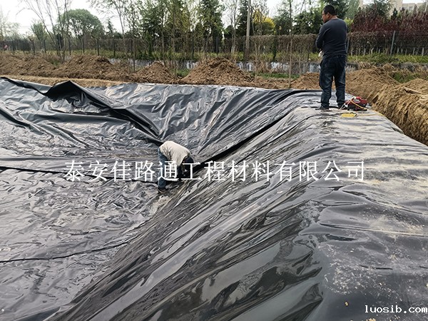 水产养殖防渗膜焊缝处理技巧：打造坚固防水屏障