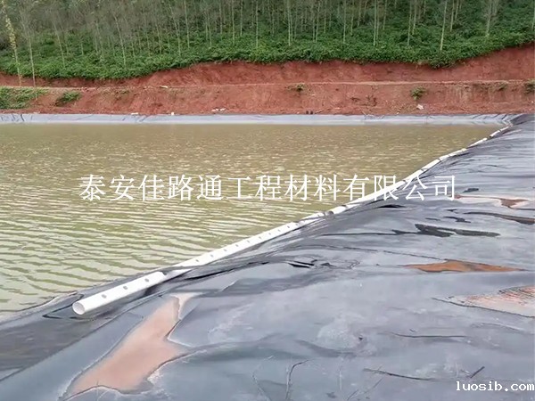 水产养殖防渗膜铺设搭接细节技巧：打造高效持久的养殖环境
