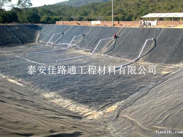 水产养殖防渗膜铺设施工技巧：精准高效，守护养殖绿洲