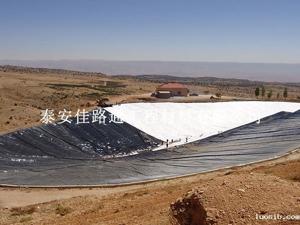 人工湖防渗新纪元：防渗膜如何筑起细菌防护的隐形长城