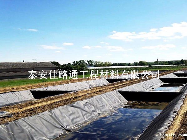 养殖防渗膜施工效率提升技巧