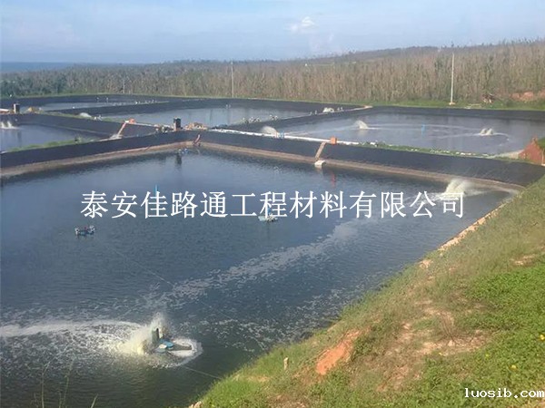 水产养殖防渗膜铺设使用寿命下降的“幕后推手”