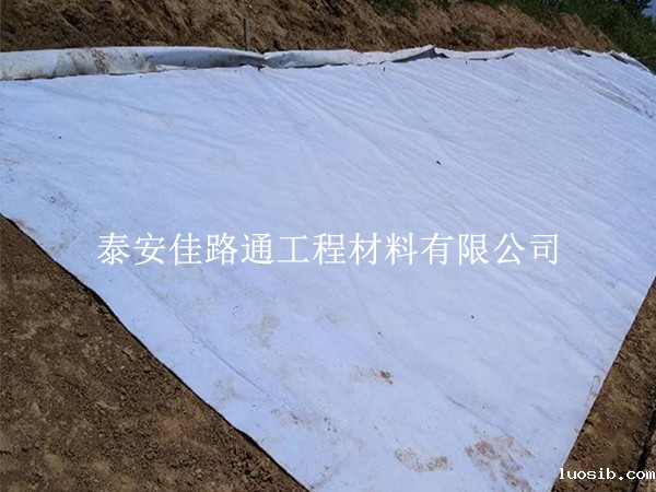 HDPE星空游戏登录平台官网铺设施工中的基面清理要求详解